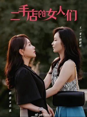 【二手店的女人们】66集精彩短剧在线看