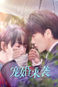 【宠婚来袭】102集浪漫短剧轻松看