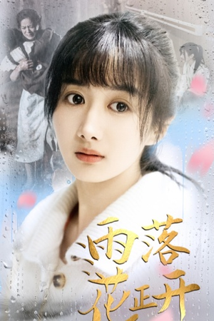 【雨落花正开】62集精彩短剧在线看