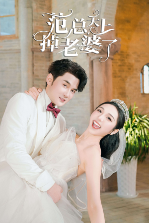 【范总天上掉老婆了】78集短剧热播中，立即观看