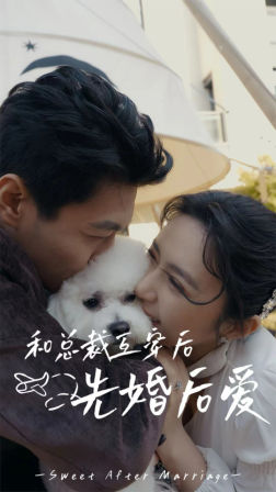【和总裁互穿后先婚后爱】60集短剧独家抢先看全集
