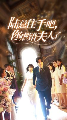 【陆总住手吧，你虐错夫人了】80集精彩短剧在线看