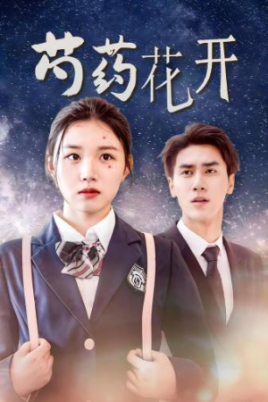 【芍药花开】77集短剧盛宴，高清在线观看
