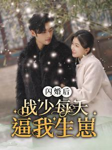 【闪婚后战少每天逼我生崽】91集短剧高清流畅随心看