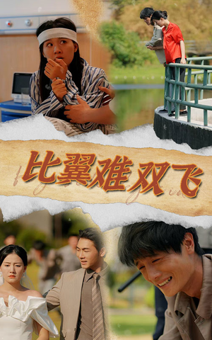 【比翼难双飞】30集短剧大屏观看更过瘾