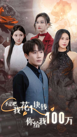 【不是吧，我花1块钱你给我100万$24小时我百倍返现】37集短剧在线免费看