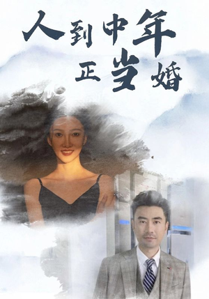 【人到中年正当婚】81集短剧一睹为快免费版