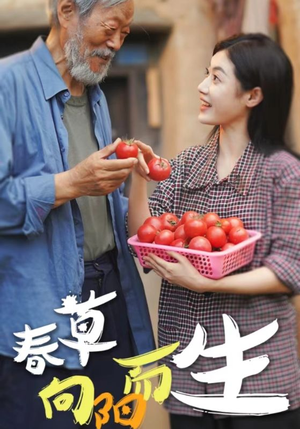 【春草向阳而生】短剧全集53集免费快速看