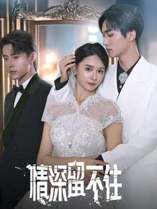 【情深留不住】80集短剧精彩片段抢先看