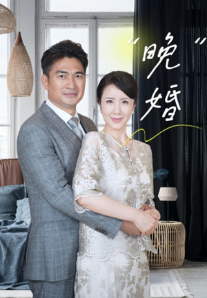 【晚婚】65集短剧全集免费观看不打烊