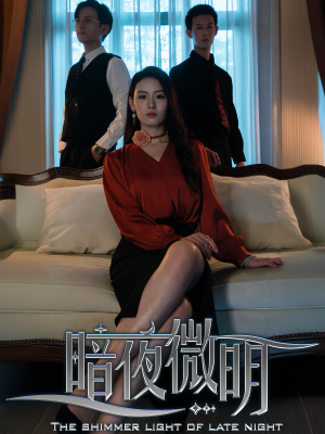 【暗夜微明】70集短剧独家连载必看