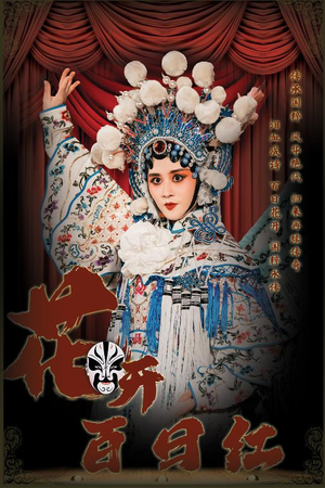 【花开百日红】30集短剧畅快看不停
