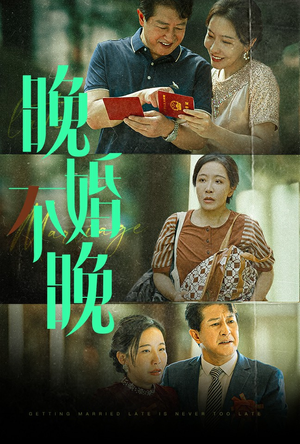 【晚婚不晚】30集短剧一次性看过瘾