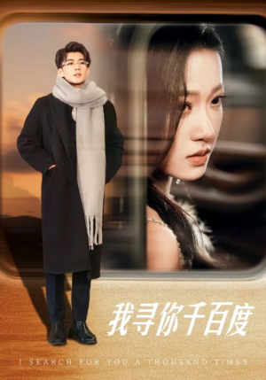 【我寻你千百度】39集短剧高清流畅观看