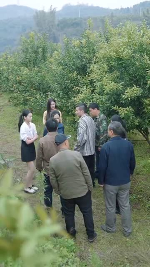 【我本真心换薄情】49集短剧精彩片段抢先看