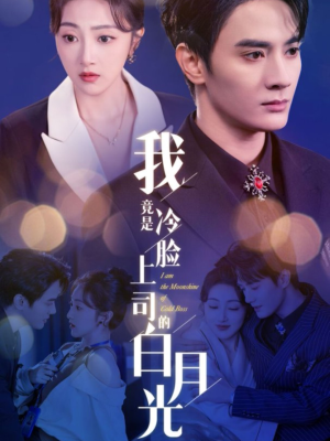 【我竟是冷脸上司的白月光】80集高清短剧在线看
