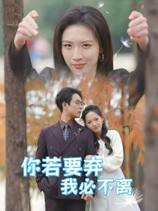 【你若要弃我必不离】30集精彩短剧随心看