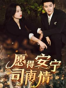 【愿得安宁司南情】76集短剧高清大屏看