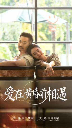 【爱在黄昏前相遇】65集短剧精彩连连，免费观看不容错过