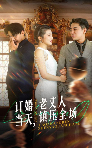 【订婚当天，老丈人镇压全场】29集精彩短剧畅快看不停
