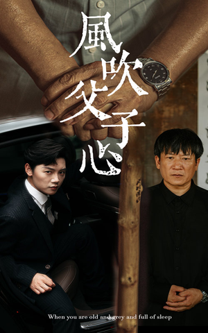 【风吹父子心】65集温情短剧在线观看