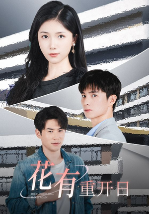【花有重开日】41集短剧全集免费看