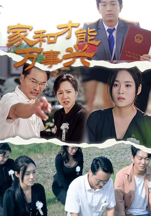 【家和才能万事兴】30集短剧全集流畅观看