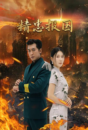 【精忠报国】61集短剧全集免费追剧神器