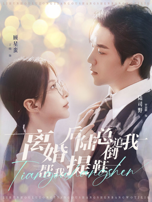 【离婚后陆总倒追我帮我提鞋】100集逆袭短剧全集免费看