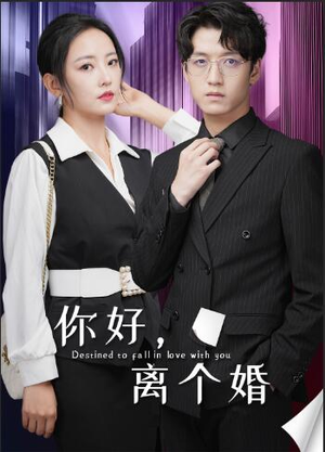 【你好，离个婚】30集短剧畅快观看无压力