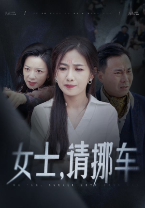 【善门难开】29集短剧精彩剧情抢先看