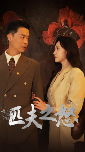 【匹夫之怒】48集短剧独家资源随心看