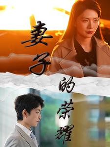 【妻子的荣耀】40集短剧大屏观影体验看