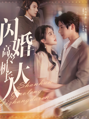 【机长先生，听我指挥】92集短剧高清畅快看不停