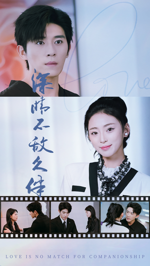 【深情不敌久伴】短剧50集精彩剧情抢先看