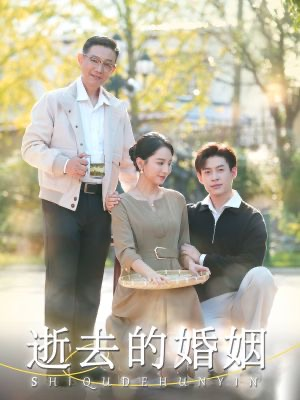 【逝去的婚姻】60集短剧精彩剧情抢先看