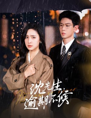 【沈先生，逾期不候】75集短剧手机专享免费看