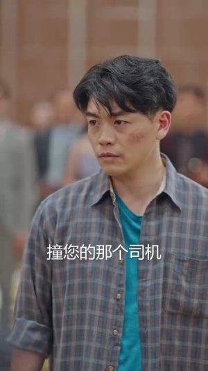 【我不是司机】61集精彩短剧在线观看不停歇