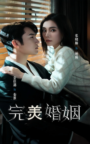 【完美婚姻】65集短剧流畅观看体验