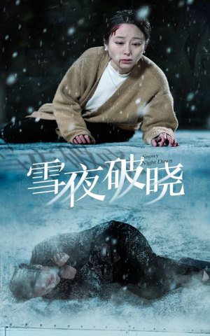 【雪夜破晓】全集36集短剧畅快看