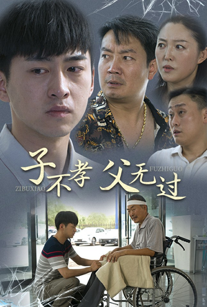 【子不孝父无过】30集情感短剧尽情看