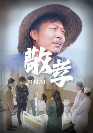 【敬孝】61集短剧热播中免费追更