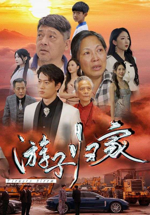 【游子归家】88集短剧大结局解锁观看