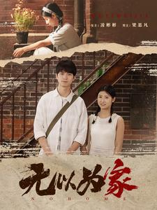 【无以为家】82集短剧高清观看，细节尽显真情