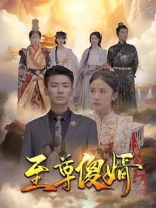 【至尊傻婿】82集爆笑短剧全集免费看