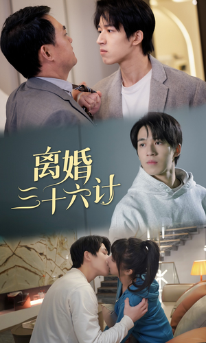 【离婚三十六计】96集高清短剧畅快看不停