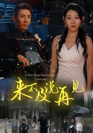 【来不及说再见】30集短剧手机移动端观看