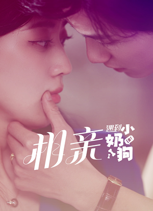 【相亲遇到小奶狗】80集短剧精彩片段抢先看