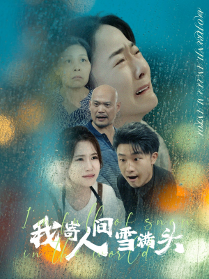 【我寄人间雪满头】71集短剧一次性看完，过瘾不停