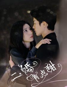 【二婚有点甜】88集甜蜜短剧全集免费看